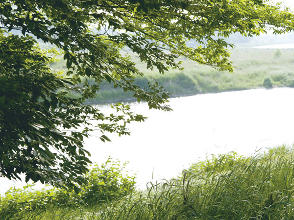 Surrounding environment. Symbol of the Tama River and Nogawa is Komae. Enjoy jogging in the shore, You can also see parents and children how to observe the bird watching and waterside fish.  ※ Tama River (about 1300m / 17 minutes walk)
