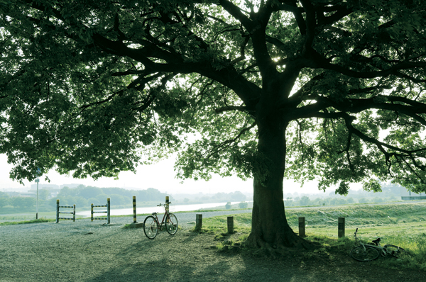  [Tama River (about 7 minutes by bicycle: about 1300m)] Close to the city center, Rich natural also familiar favorable environment