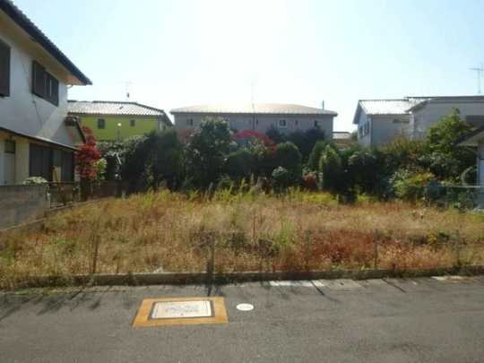 Local land photo. local