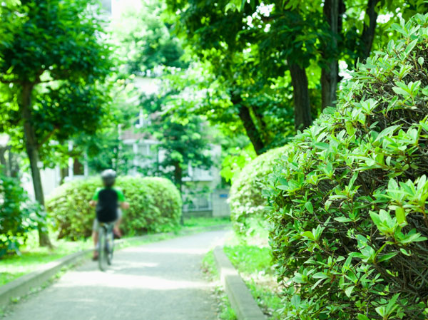 Surrounding environment. Nogawa parkland (about 800m / A 10-minute walk)