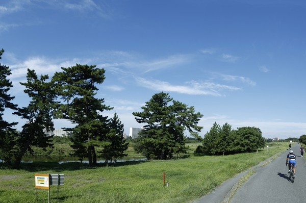  [Tama River] (A 9-minute walk / Opened about 720m) visibility, The sky will feel widely. Running a bank and cycling, I want to, such as walking