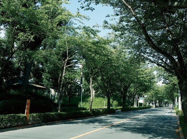  [Rokugo cherry street followed from "Komae" Station North Rotary] (A 4-minute walk / About 300m)