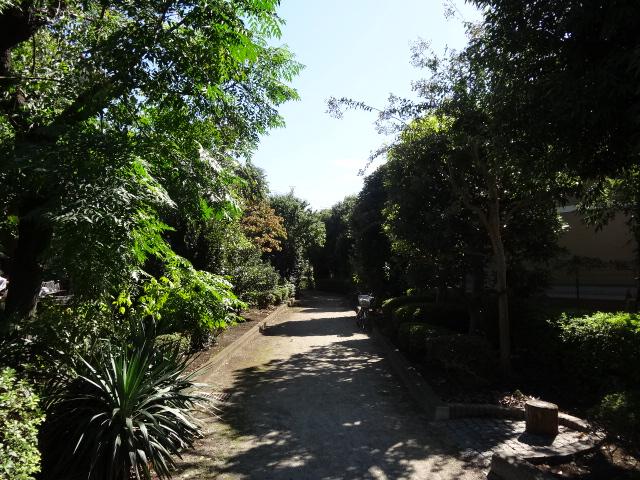 park. Iwato River 50m to parkland