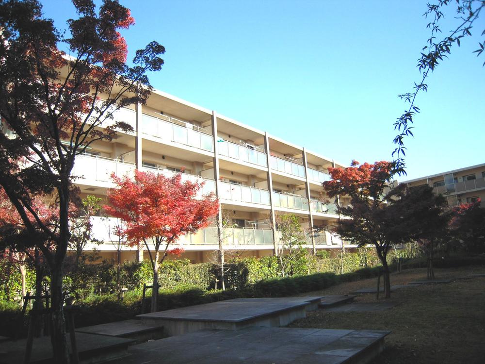 Local appearance photo. Local (12 May 2013) Shooting