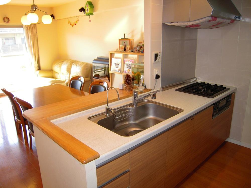 Kitchen. Water purifier as an option at the time of sale, Yes set up a cupboard.