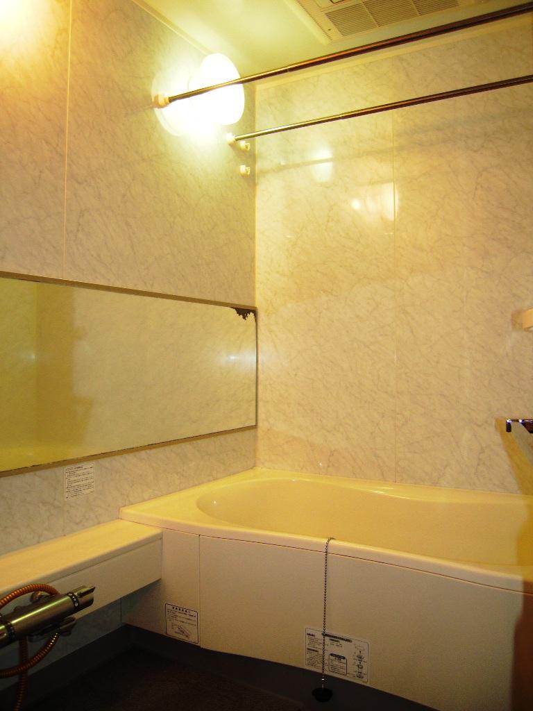 Bathroom. Low-floor unit bus. With bathroom ventilation dryer.