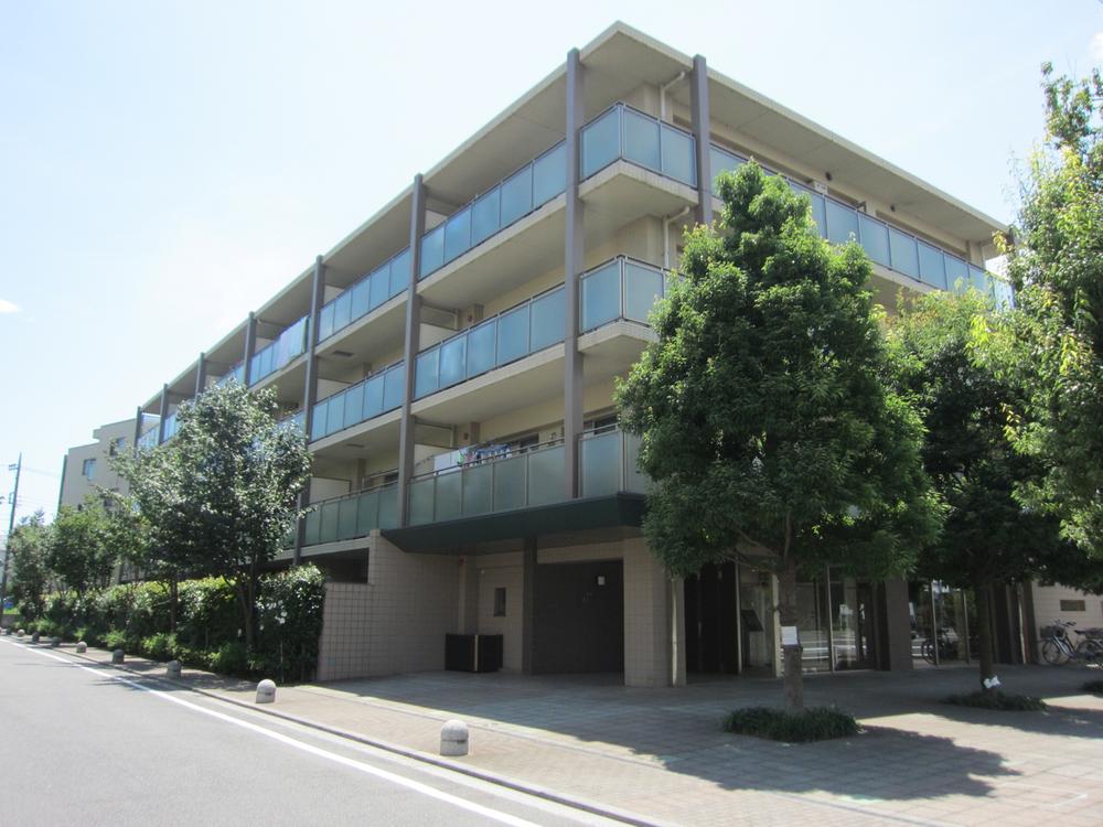 Local appearance photo. Local (July 2013) Shooting