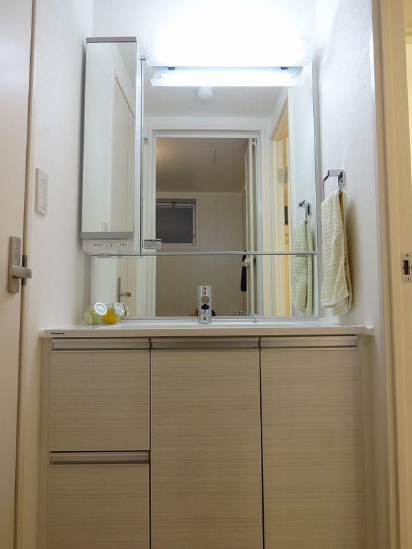 Wash basin, toilet. Bathroom vanity