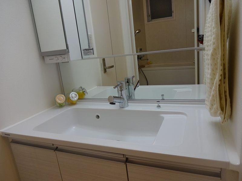 Wash basin, toilet. Bathroom vanity