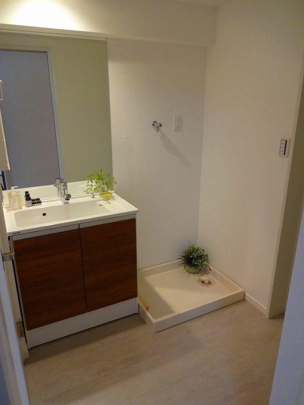 Wash basin, toilet. Bathroom vanity
