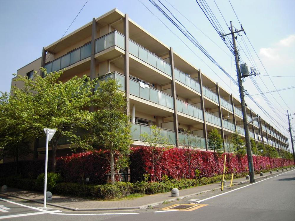 Local appearance photo. Local (August 2013) Shooting