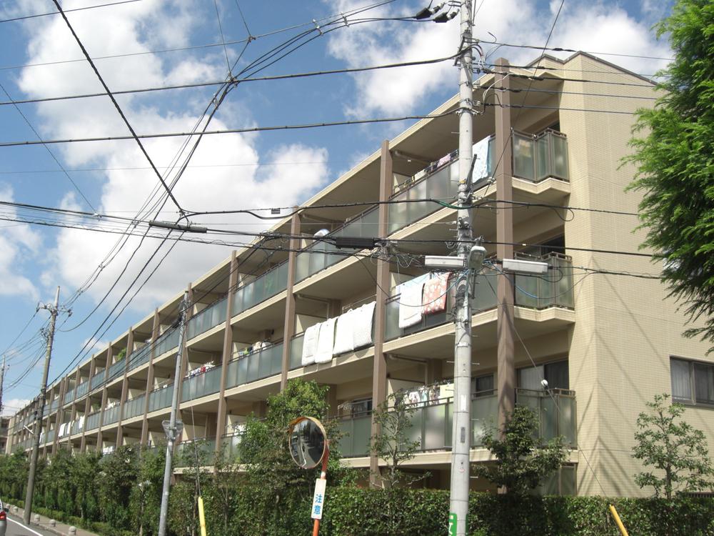 Local appearance photo. Local (August 2013) Shooting