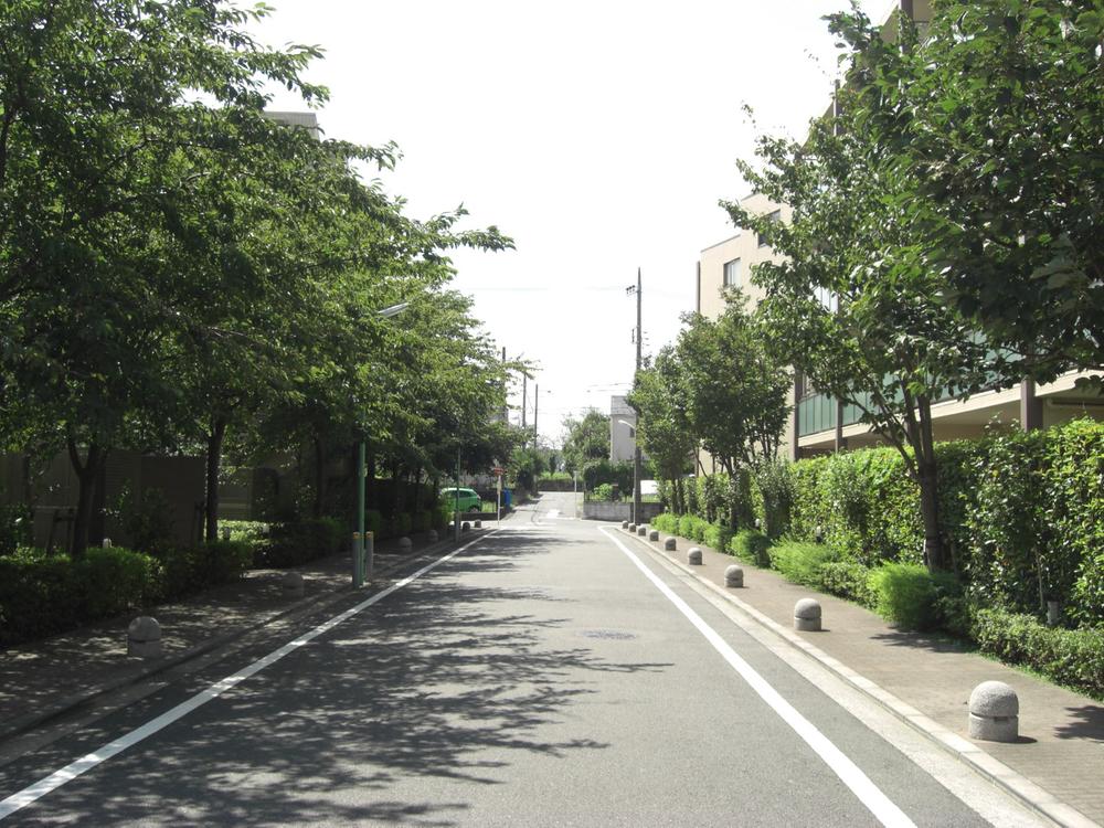 Other local. Local (August 2013) Shooting