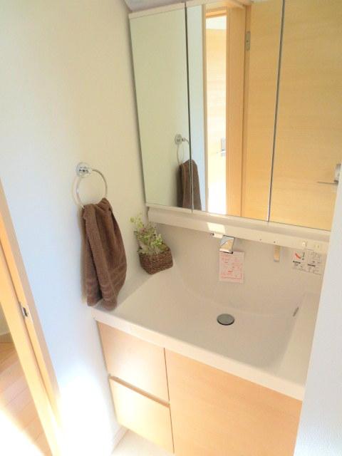 Wash basin, toilet. Vanity of natural design.