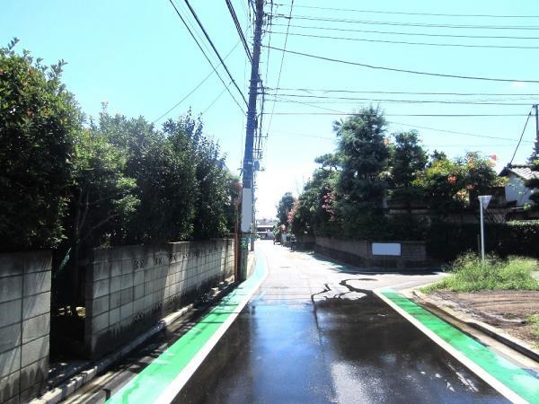 Other local. Local Photos