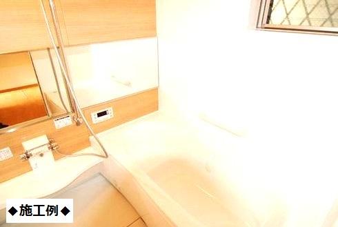 Bathroom. Bathroom construction cases