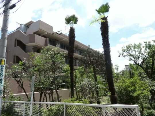 Local appearance photo. appearance