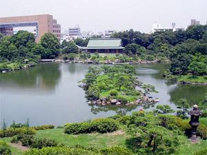 Other. Fining garden