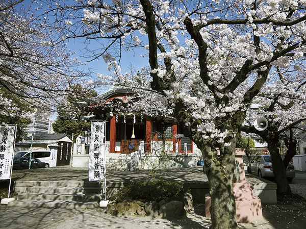 Surrounding environment. Suzaki Jinja (about 50m ・ 1-minute walk)