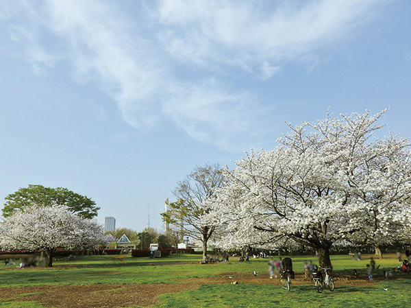 Surrounding environment. About 240,000 sq m those Kiba park boasts a vast site area. Square Ya can also, such as picnic, Event plaza where there is such as outdoor stage, There is also a playground equipment play children. Every year in October, "Kiba corner power" is performed is Kiba of traditional performing arts in the park center of the event pond. You can enjoy the green of the four seasons in the park, It has become a people of the recreation office to live in the vicinity. (Kiba Park / About 460m ・ 6-minute walk)