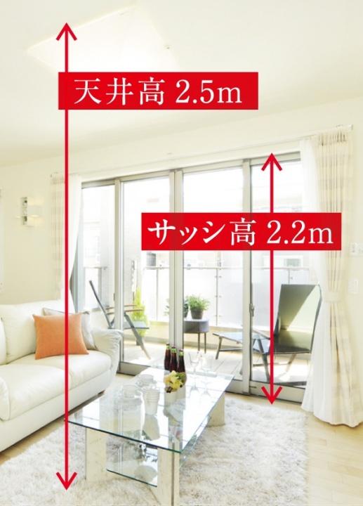 Living. Brightness and openness of the ceiling height 2.5M