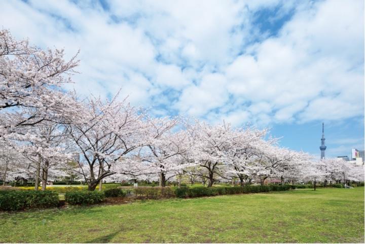 park. 390m until Sarue Imperial Park