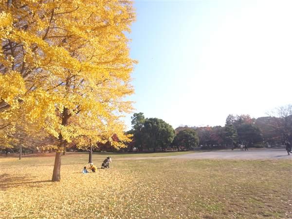 park. 285m until a clear park