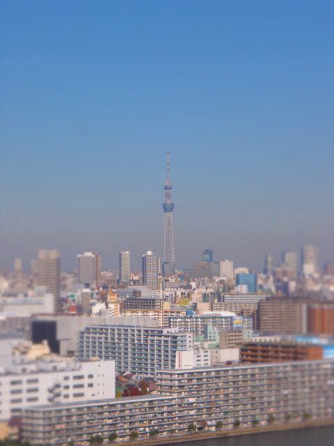 View photos from the dwelling unit. View from the site (November 2013) Shooting