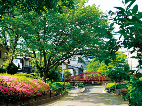 Surrounding environment. Around local streets (about 280m / 4-minute walk)