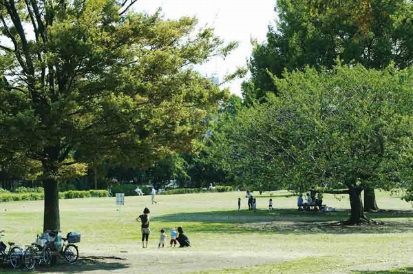 Other. Kiba Park 7-minute walk away (about 500m). Museum of Fine Arts where you can enjoy the contemporary art to 240,000 sq m more than the on-site