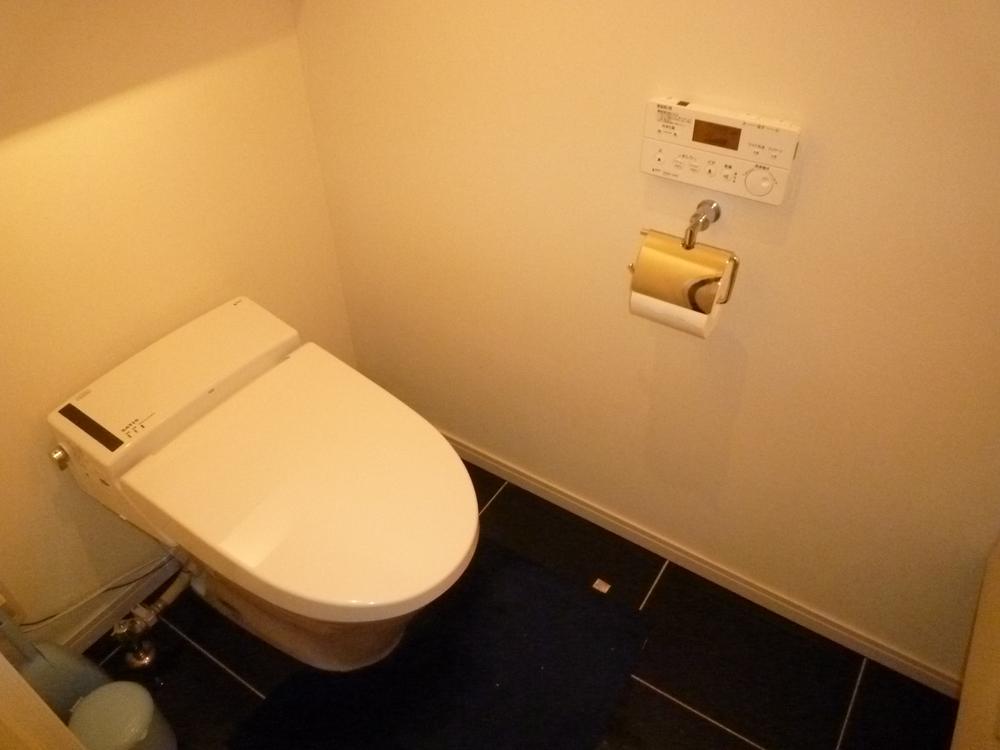 Toilet. Indoor (10 May 2013) Shooting