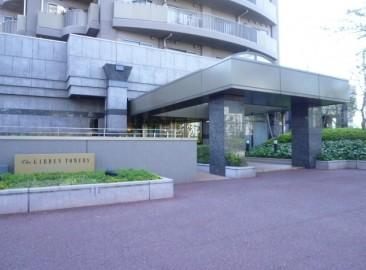 Koto-ku, Tokyo Oshima 1