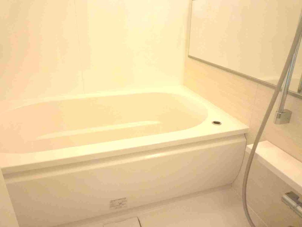 Bathroom. Indoor (July 2013) Shooting