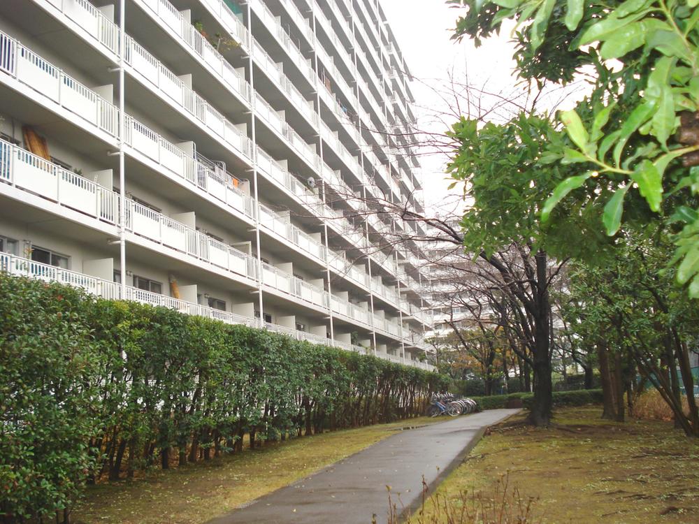 Local appearance photo. Local (12 May 2013) Shooting