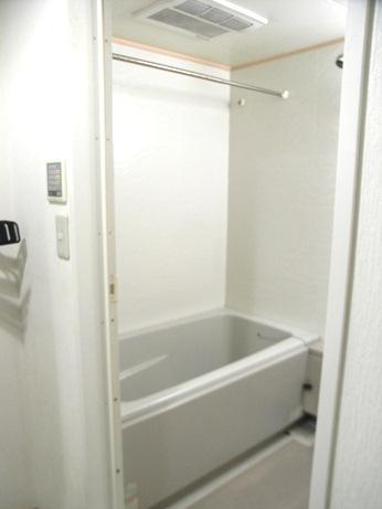 Bathroom. Indoor (10 May 2013) Shooting