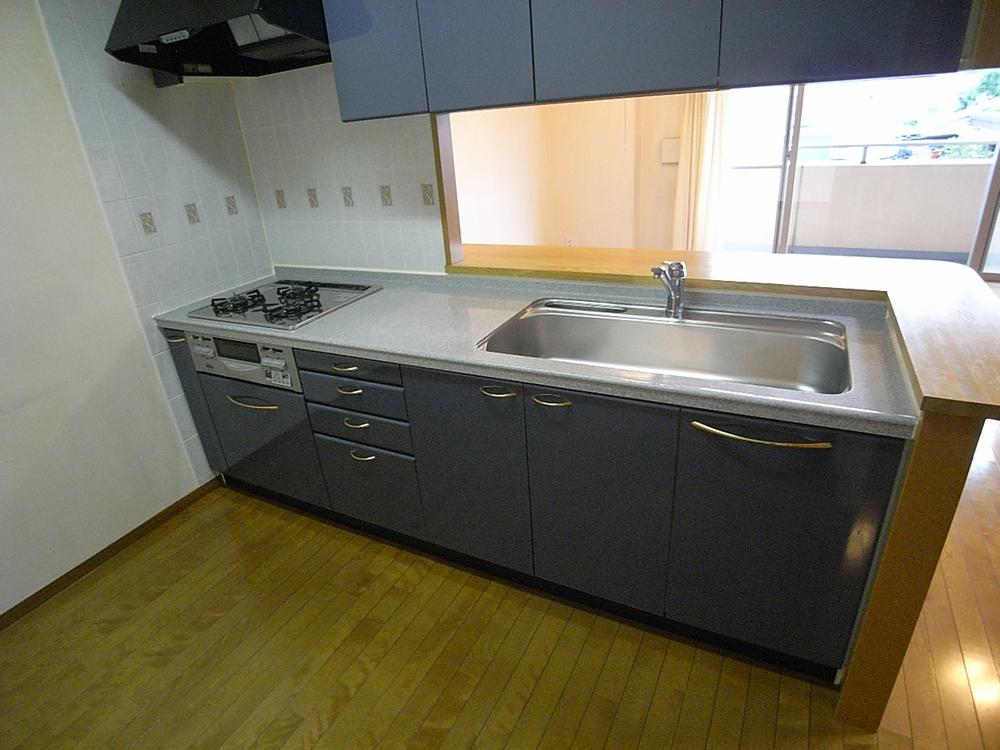 Kitchen. Popular face-to-face kitchen