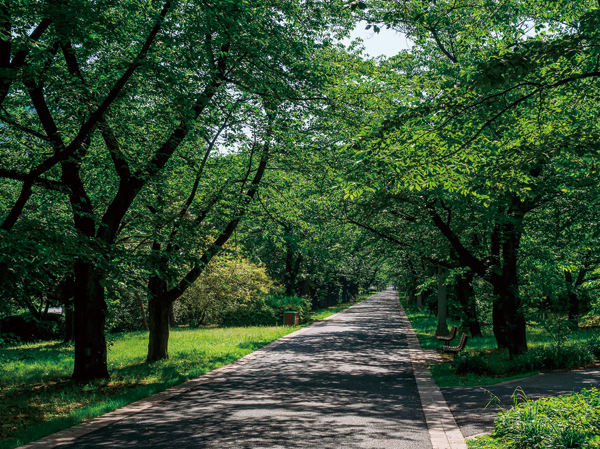 Surrounding environment. Metropolitan Tatsumi of forest green road park (a 10-minute walk ・ About 770m)