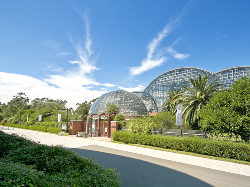 Surrounding environment. Metropolitan Yumenoshima park Dream Island (about 2000m ・ A 25-minute walk)