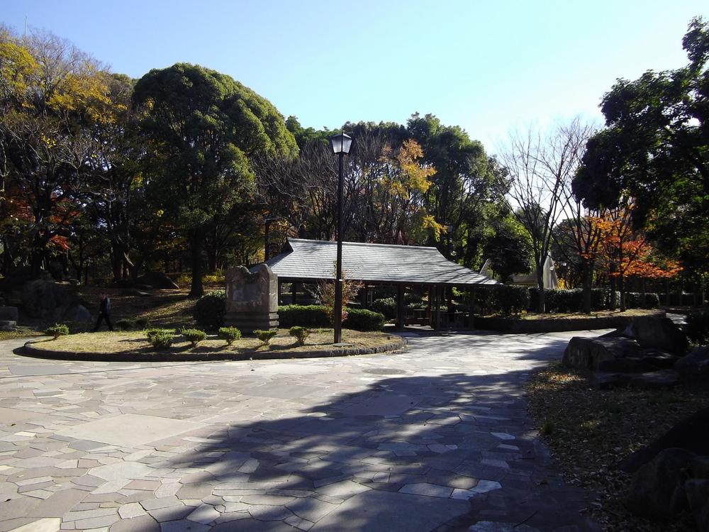 Other. Surrounding environment