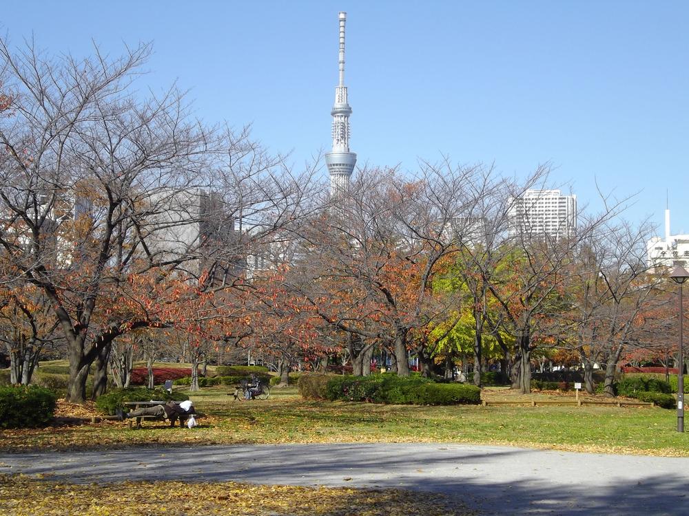 Other. Surrounding environment