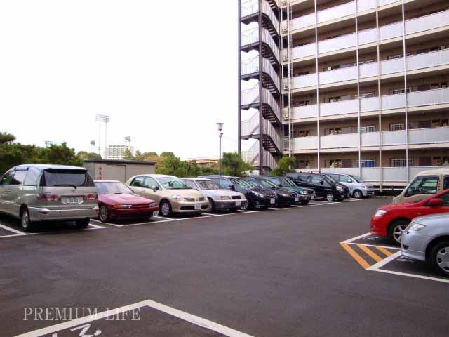 Parking lot. «Parking»