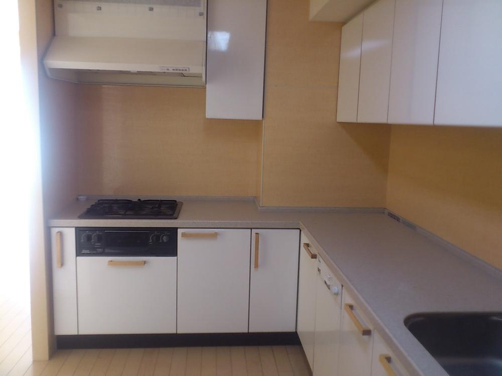 Kitchen. Indoor (10 May 2013) Shooting