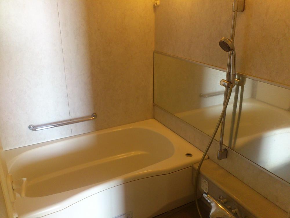 Bathroom. Indoor (10 May 2013) Shooting