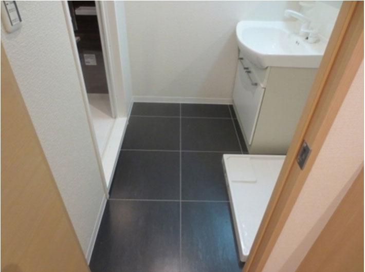 Wash basin, toilet. Dressing room