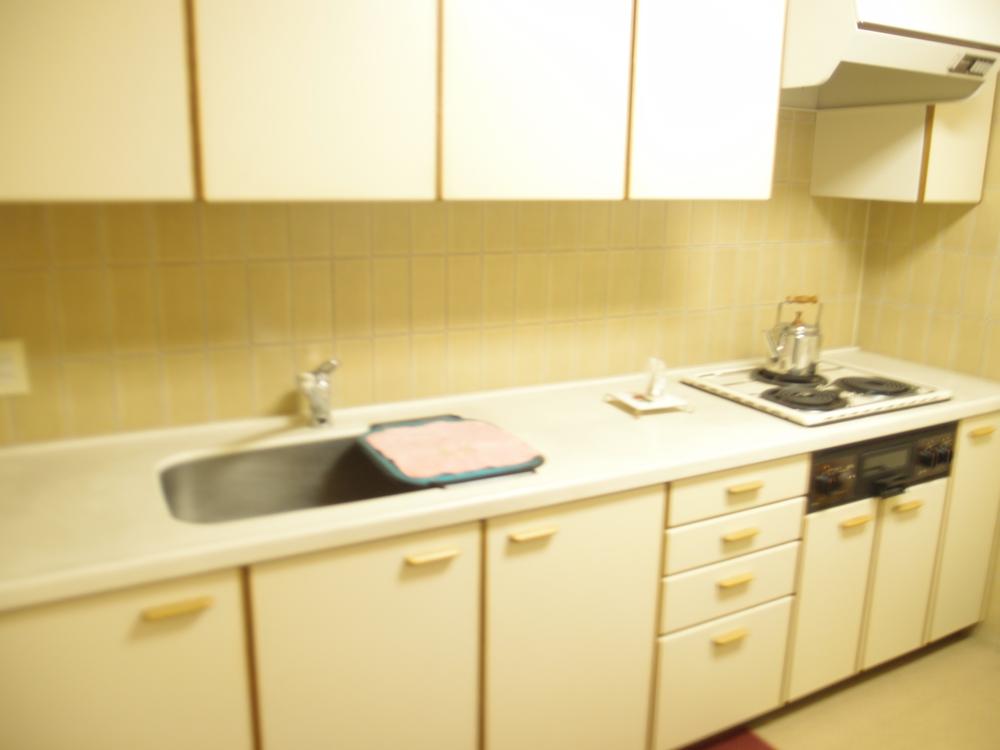 Kitchen. System kitchen