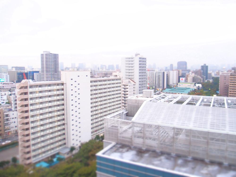 View photos from the dwelling unit. Day view is good per southwestward