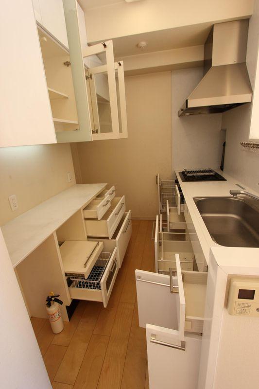 Kitchen. Storage space in the kitchen