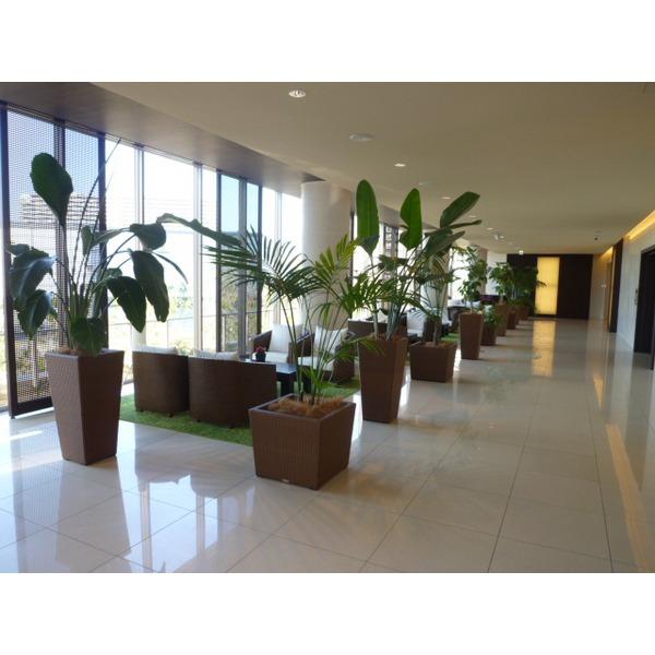 Koto-ku, Tokyo Toyosu 3