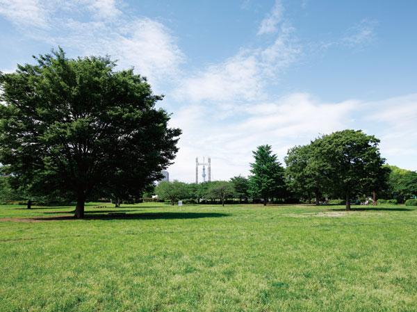 Other. Up to about Metropolitan Kiba Park 80m (1 minute walk)