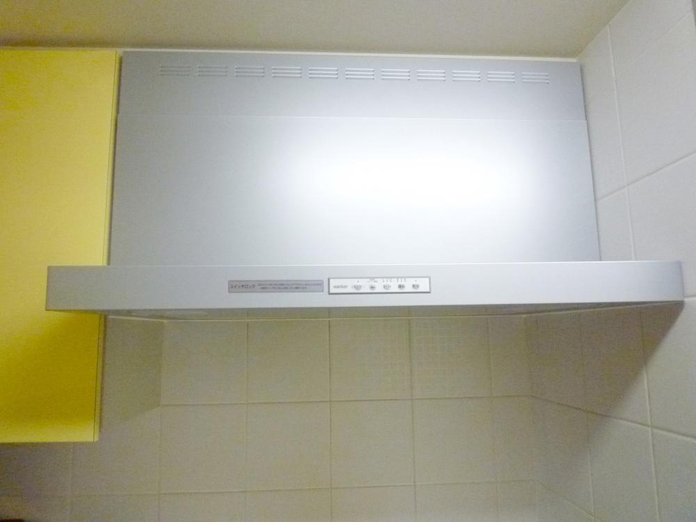 Kitchen. Flat type of stylish range hood